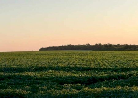 Agricultura regenerativa de MS é apresentada na Alemanha como modelo sustentável