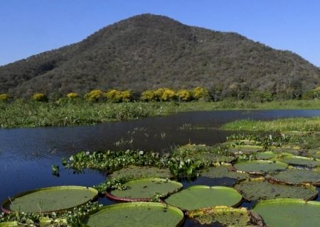 Mato Grosso do Sul é o único estado a implementar todos os instrumentos da governança climática