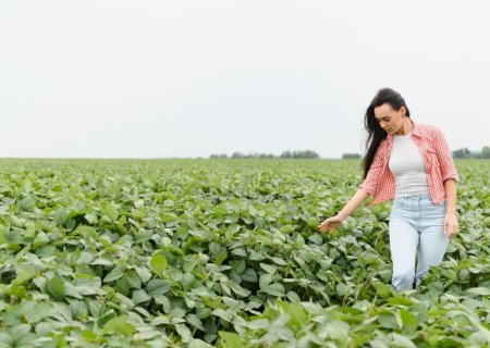 Mulheres fortalecem o agronegócio e ampliam protagonismo em Mato Grosso do Sul