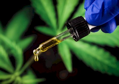 Cannabis medicinal não mostra eficácia contra ansiedade e depressão, segundo nova pesquisa