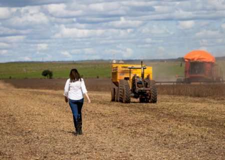 Produtores já paralisam colheita por falta de diesel e setor alerta para risco de perder grãos