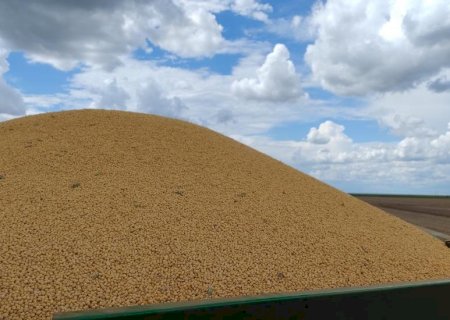 Colheita  da safra de soja 2025/2026 deve ser concluída em até 10 dias no Estado