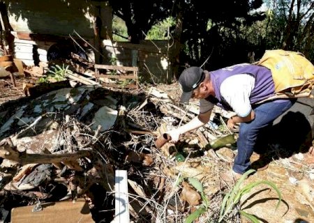 Dourados tem 5 mil notificações e investiga mais uma morte por chikungunya