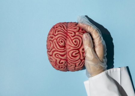 Idosos com cérebro de jovens: cientistas desvendam o possível segredo