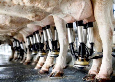 Governo anuncia pacote para impulsionar produção de leite com crédito e melhoramento genético