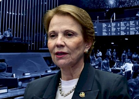 Tereza diz que posto de vice não cabe em seus projetos e outras mulheres entram na mira de Flávio Bolsonaro&nbsp;