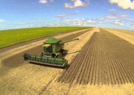 Setor agropecuário tem salto de 9% em recuperações judiciais no primeiro trimestre