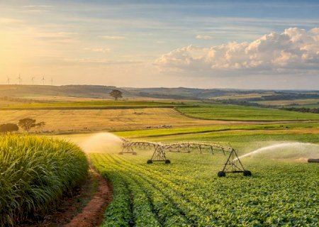 Por que o próspero agro vive uma escalada de recuperações judiciais?