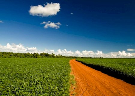 STF dá prazo e pressão aumenta: Moratória da Soja entra em fase decisiva no Brasil