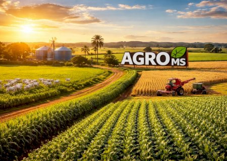 Produção recorde, lavouras fortalecidas e crédito mais seletivo marcam safra em MS