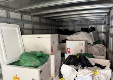Vigilância realiza incineração inédita de medicamentos irregulares e reforça combate ao mercado clandestino
