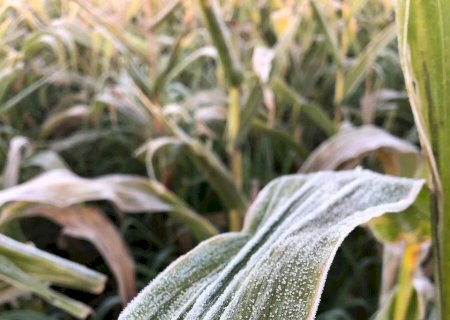 Embrapa lança projeto para antecipar riscos climáticos e reduzir perdas na agricultura
