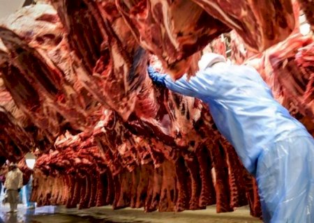 Frigoríficos encerram cota e deixam de exportar carne para China