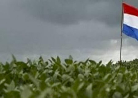 Soja do Paraguai caminha para safra recorde,enquanto clima pressiona milho
