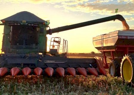 Crédito rural registra redução nas contratações ao final do Plano Safra 2025/26