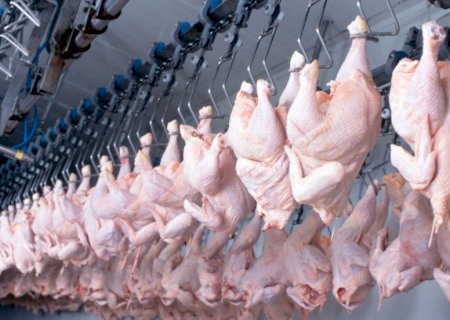 Poder de compra do frango frente ao farelo recua 16% em um ano