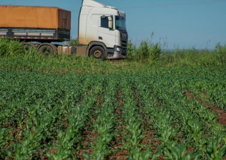 Estudo analisa os impactos da infraestrutura logística sobre a produção agrícola de Mato Grosso do Sul