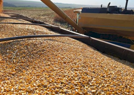 Veículo movido exclusivamente a etanol pode beneficiar cadeia produtiva do milho