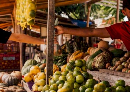 Além de beber água, incluir frutas e legumes no cardápio pode contribuir para a hidratação