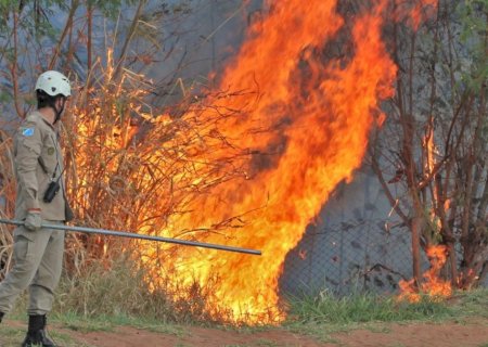 Fumaça que sufoca: MS registra quase seis queimadas urbanas por dia                   Além de destruir áreas verdes, focos comprometem qualidade do ar, causam prejuízos ambientais e riscos à saúde