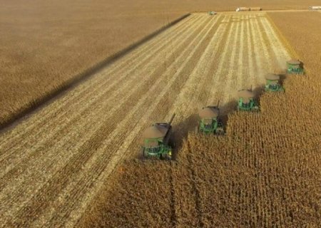 Recuperação judicial no agro cresceu 66% em um ano no país