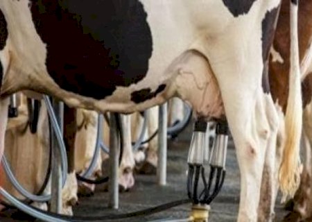 Custo de produção de leite sobe 4,13% no ano e pressiona margem do produtor