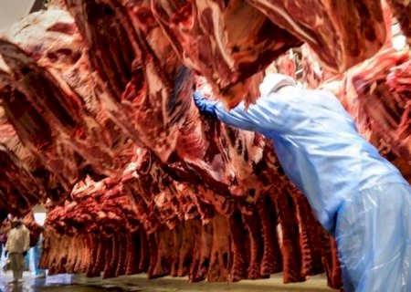 Exportações de carne bovina do Brasil caem 22% em agosto com forte recuo da China