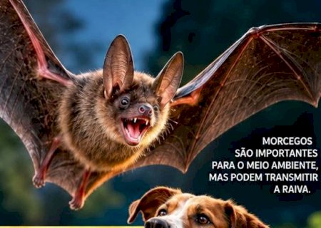 Taquarussu realiza campanha de vacinação antirrábica de cães e gatos no dia 16 de outubro