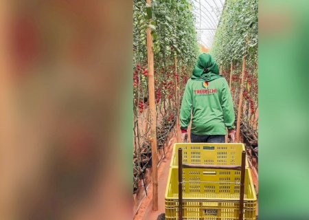 O agro no vermelho: setor mais pujante da economia se vê ameaçado por crise de crédito 