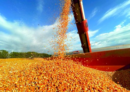 Produção brasileira de grãos pode chegar a 367,1 milhões de toneladas em 2026/27
